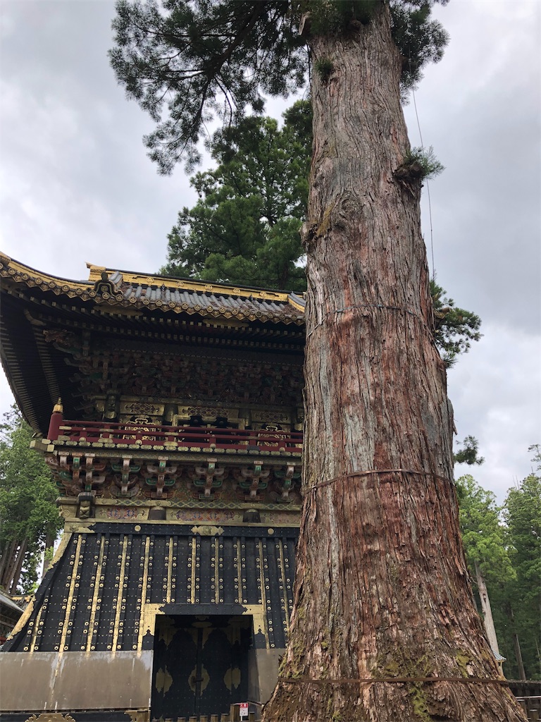 f:id:by_nagi:20190520232833j:image f:id:by_nagi:20190520232833j:image