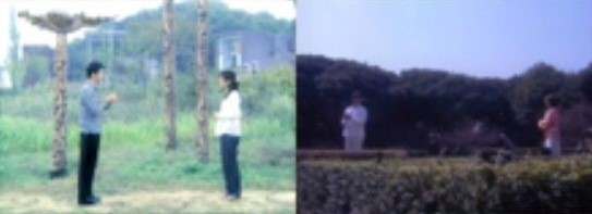 f:id:byakko419:20191228192319j:plain