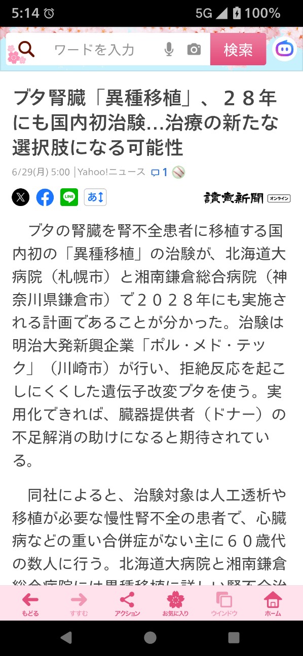f:id:byakuren-an:20260629052816j:image
