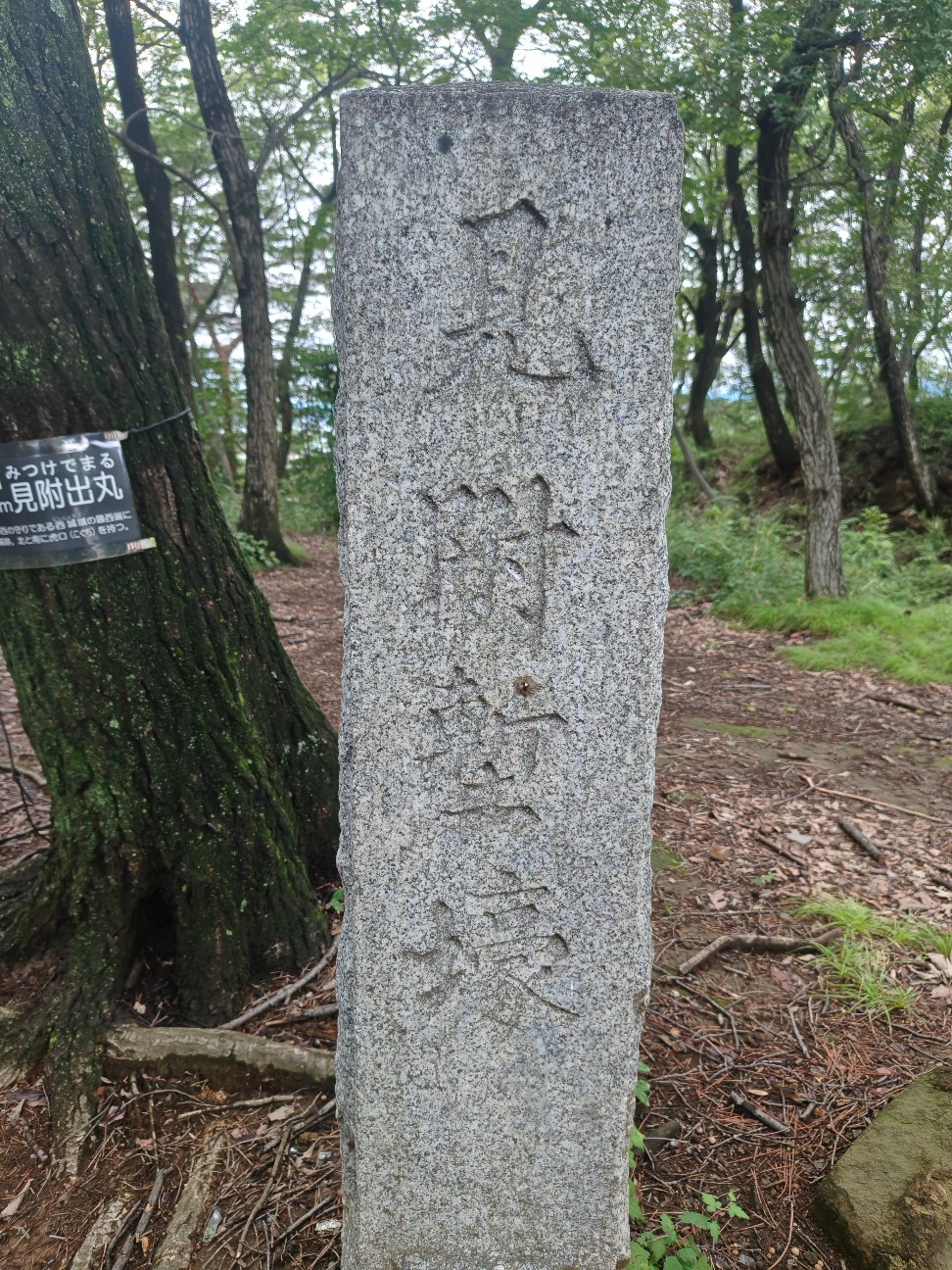 f:id:byakuren-an:20260705000138j:image