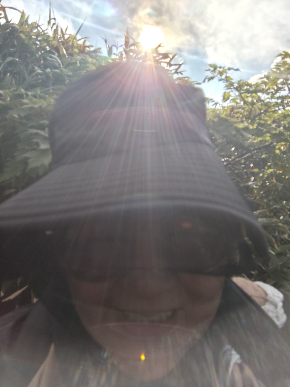 f:id:byakuren-an:20260807173055j:image