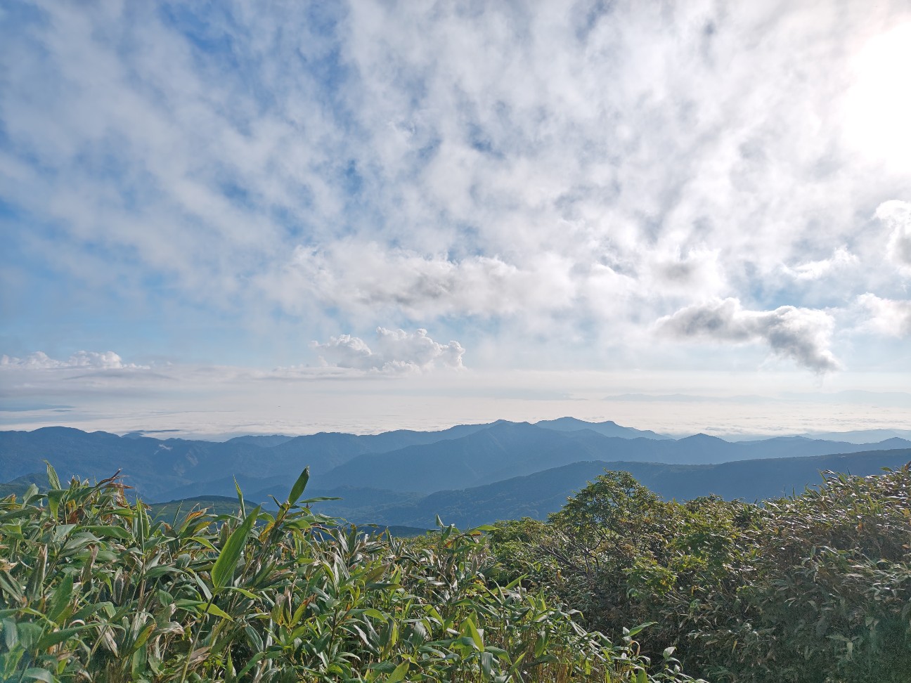 f:id:byakuren-an:20260807173101j:image