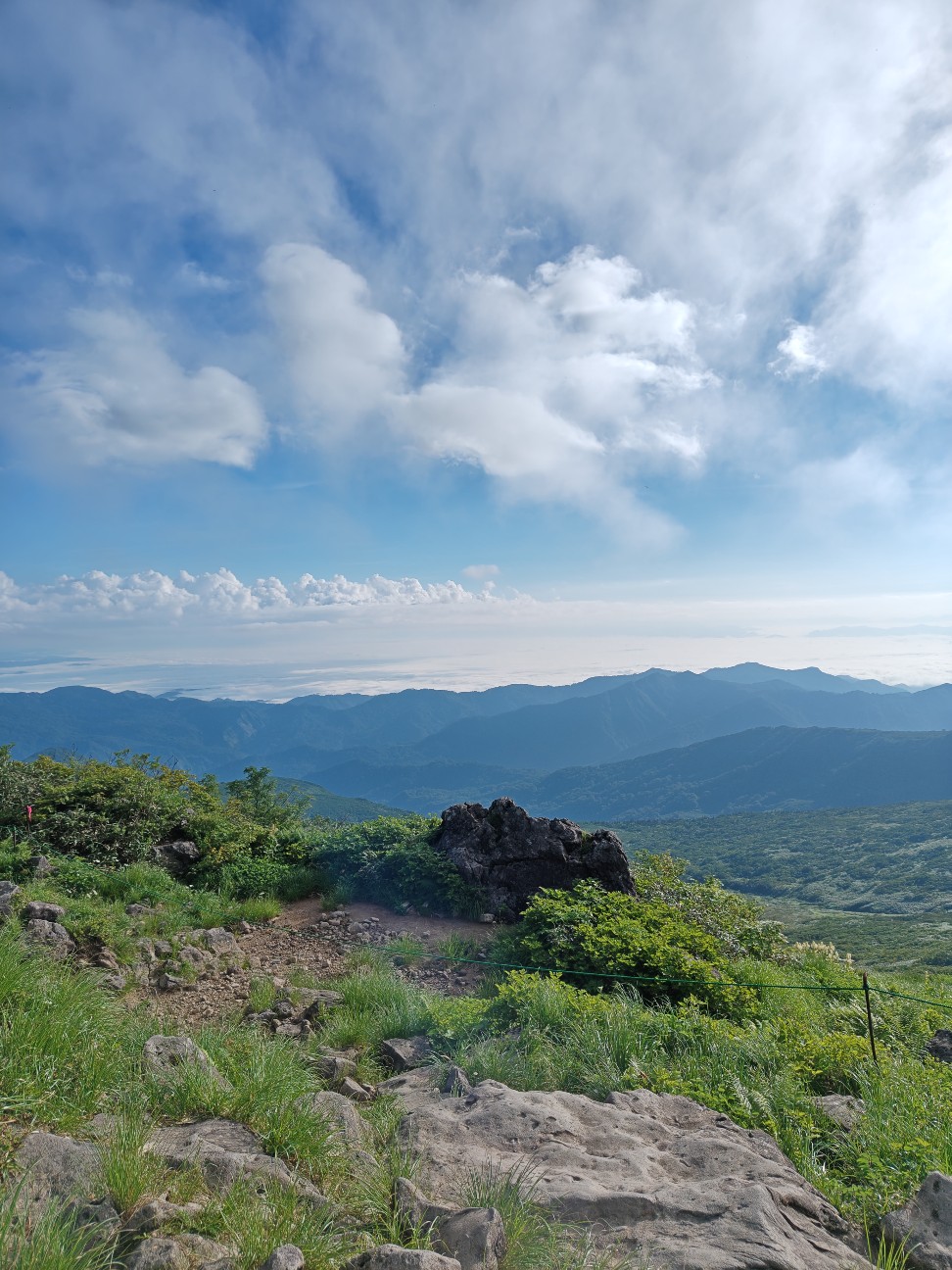 f:id:byakuren-an:20260807173106j:image