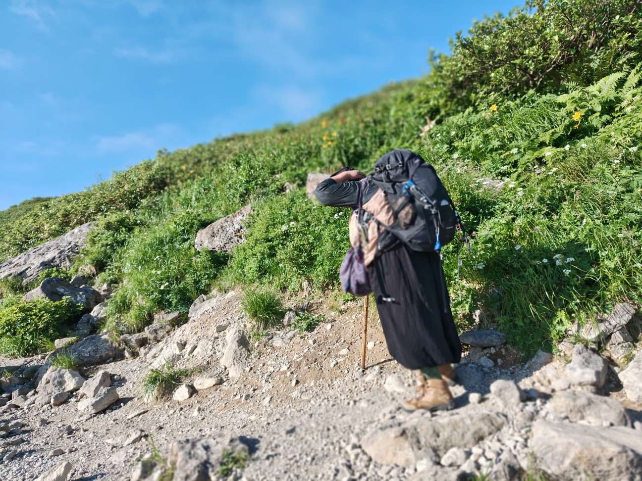 f:id:byakuren-an:20260807173124j:image