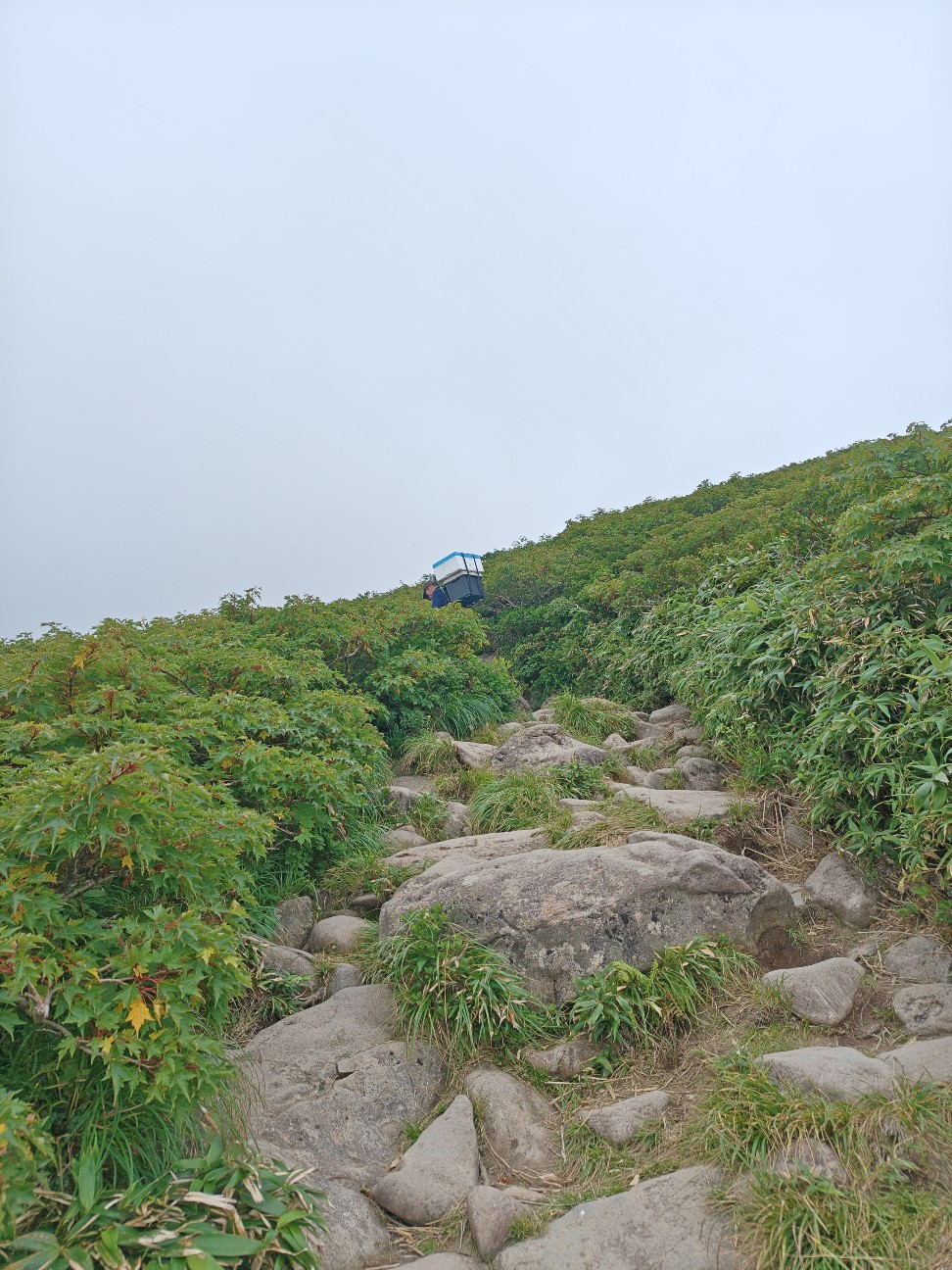 f:id:byakuren-an:20260807193055j:image