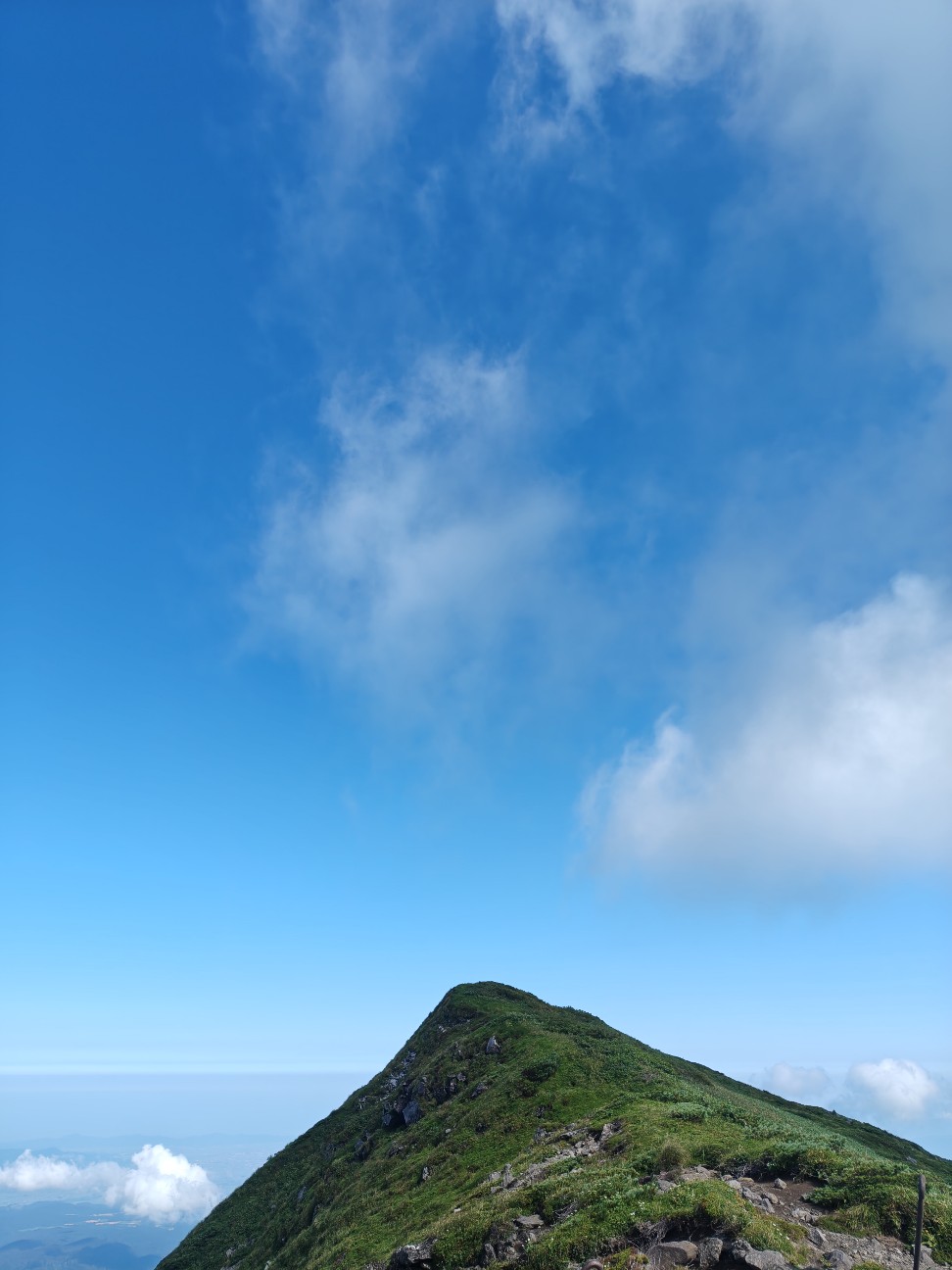 f:id:byakuren-an:20260808211218j:image