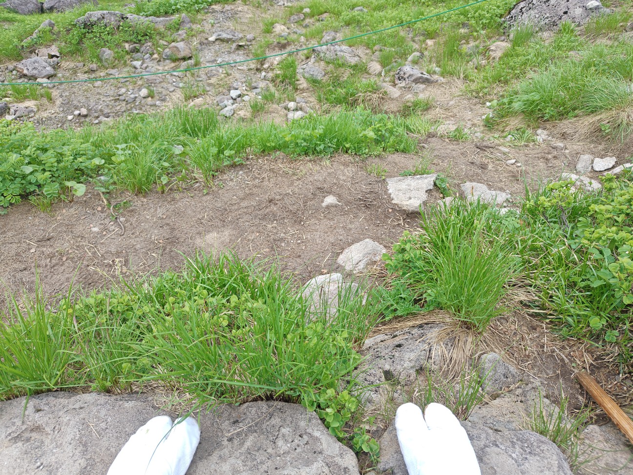 f:id:byakuren-an:20260808211228j:image