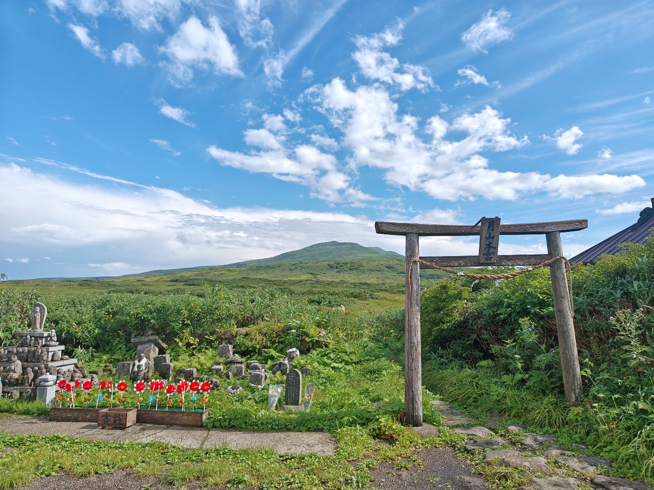 f:id:byakuren-an:20260808211251j:image