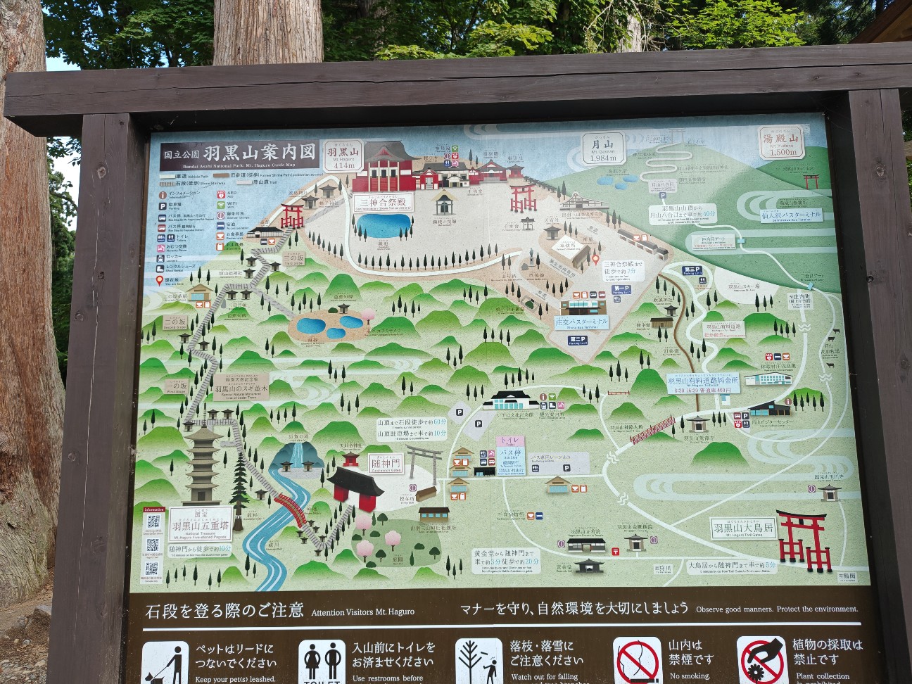 f:id:byakuren-an:20260810060317j:image