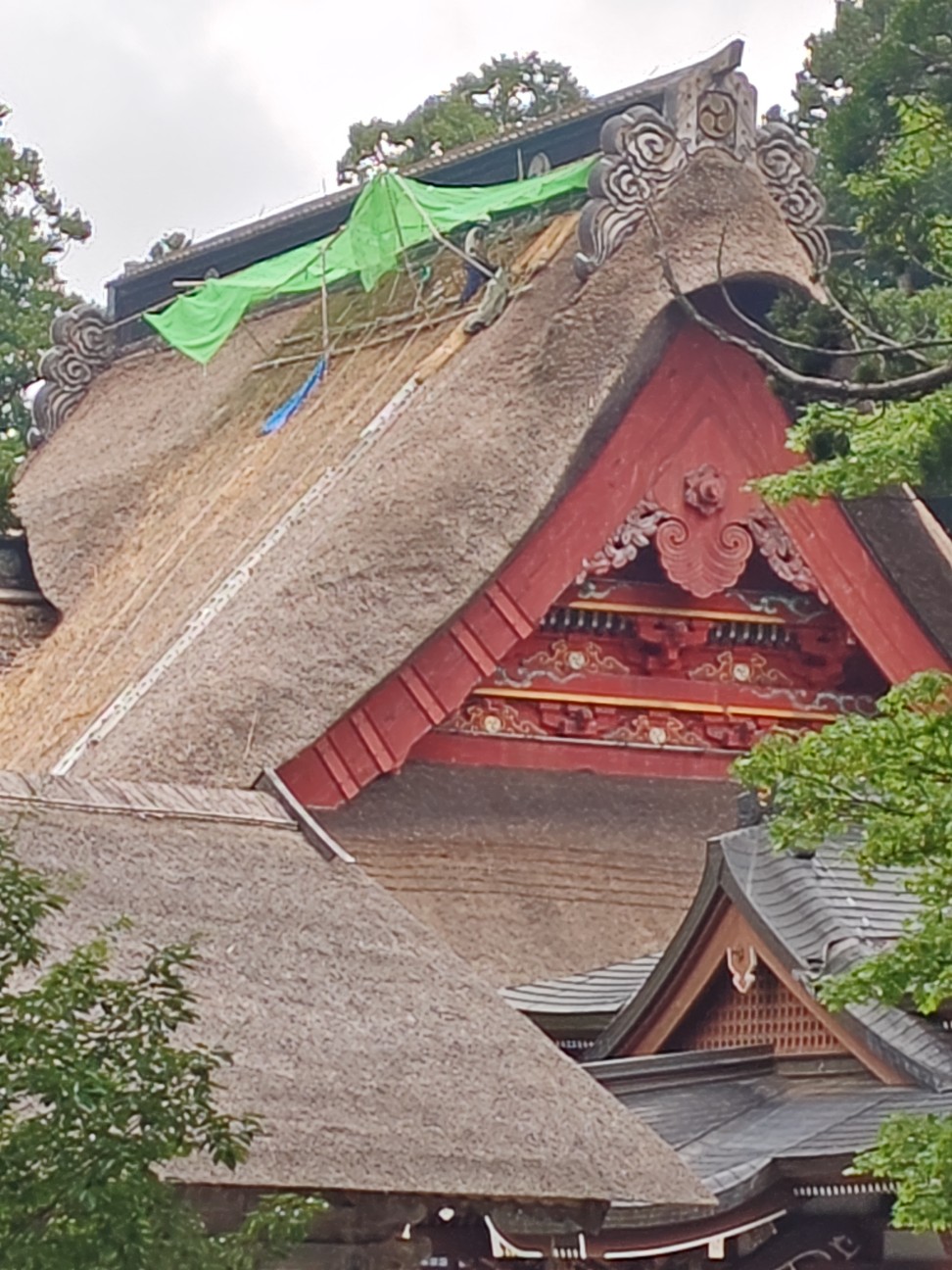 f:id:byakuren-an:20260810060335j:image