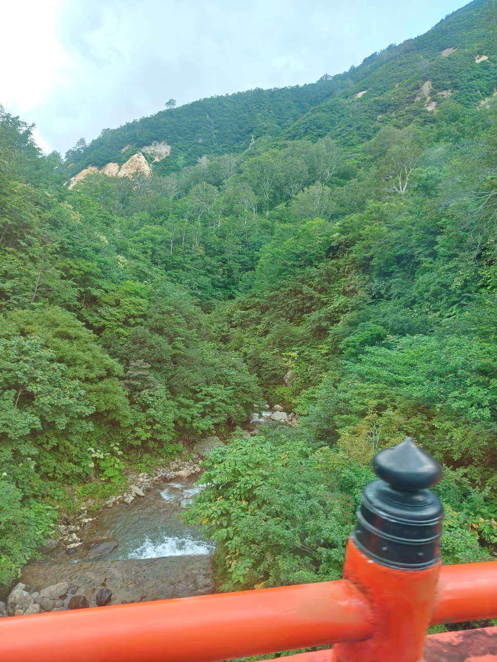 f:id:byakuren-an:20260810060430j:image