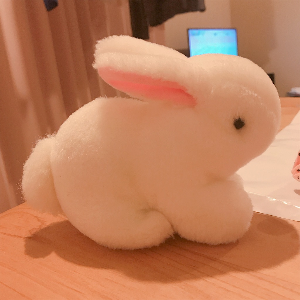 f:id:bybc_wcm:20190216235206j:image