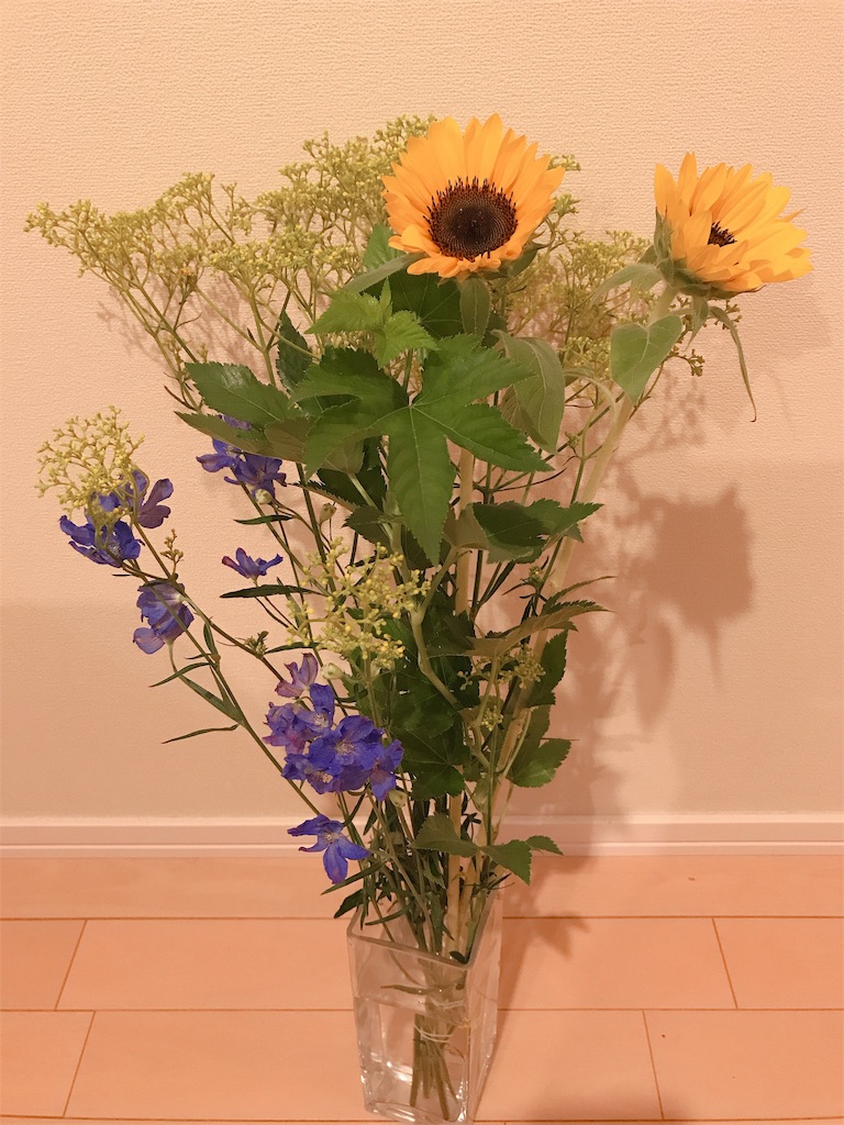 f:id:bybc_wcm:20190728204558j:image