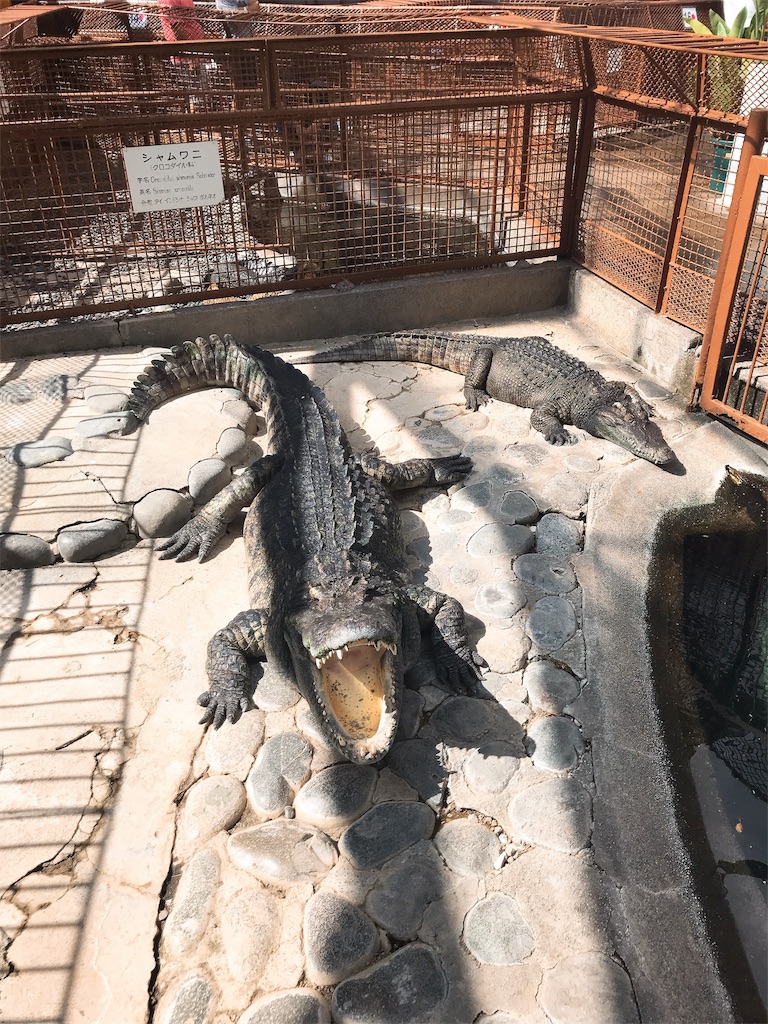 f:id:bybc_wcm:20190927234754j:image f:id:bybc_wcm:20190927234754j:image