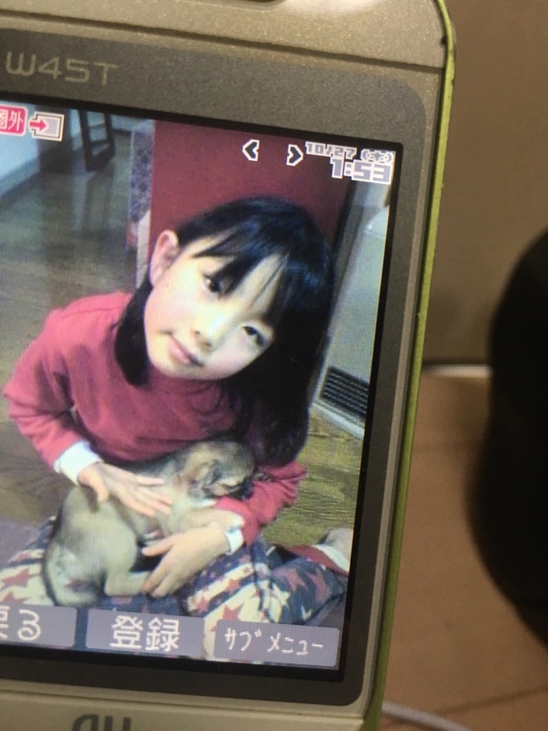f:id:byebyeblue:20181012130146j:plain