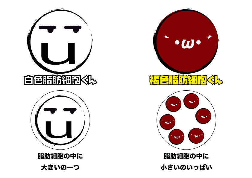 f:id:byebyeoniku:20200616121512j:plain f:id:byebyeoniku:20200616121512j:plain