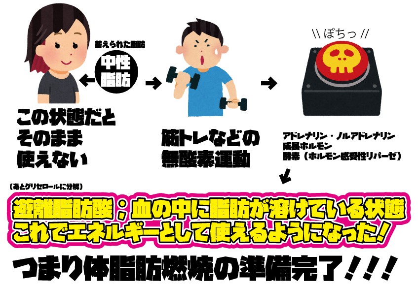 f:id:byebyeoniku:20200811070924j:plain