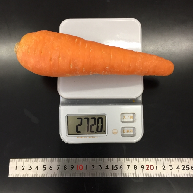 f:id:byebyeoniku:20200927213808j:plain