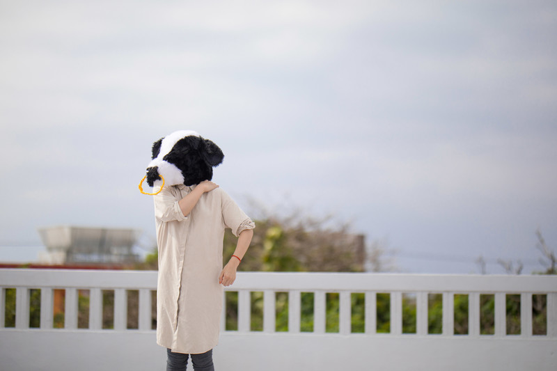 f:id:byebyeoniku:20201016002253j:plain