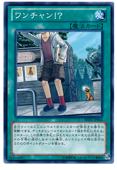 遊戯王レベル1デッキ LLとかいうレベル1テーマ - 物理法則を知らない。