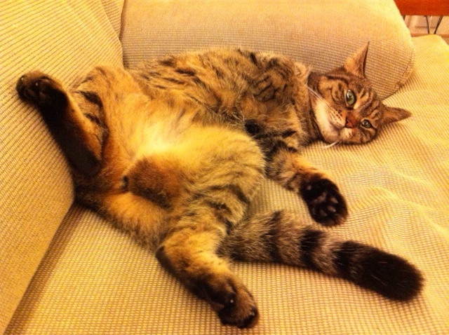 f:id:byronko:20140817192152j:plain