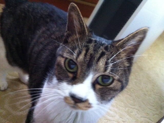 f:id:byronko:20140817192227j:plain