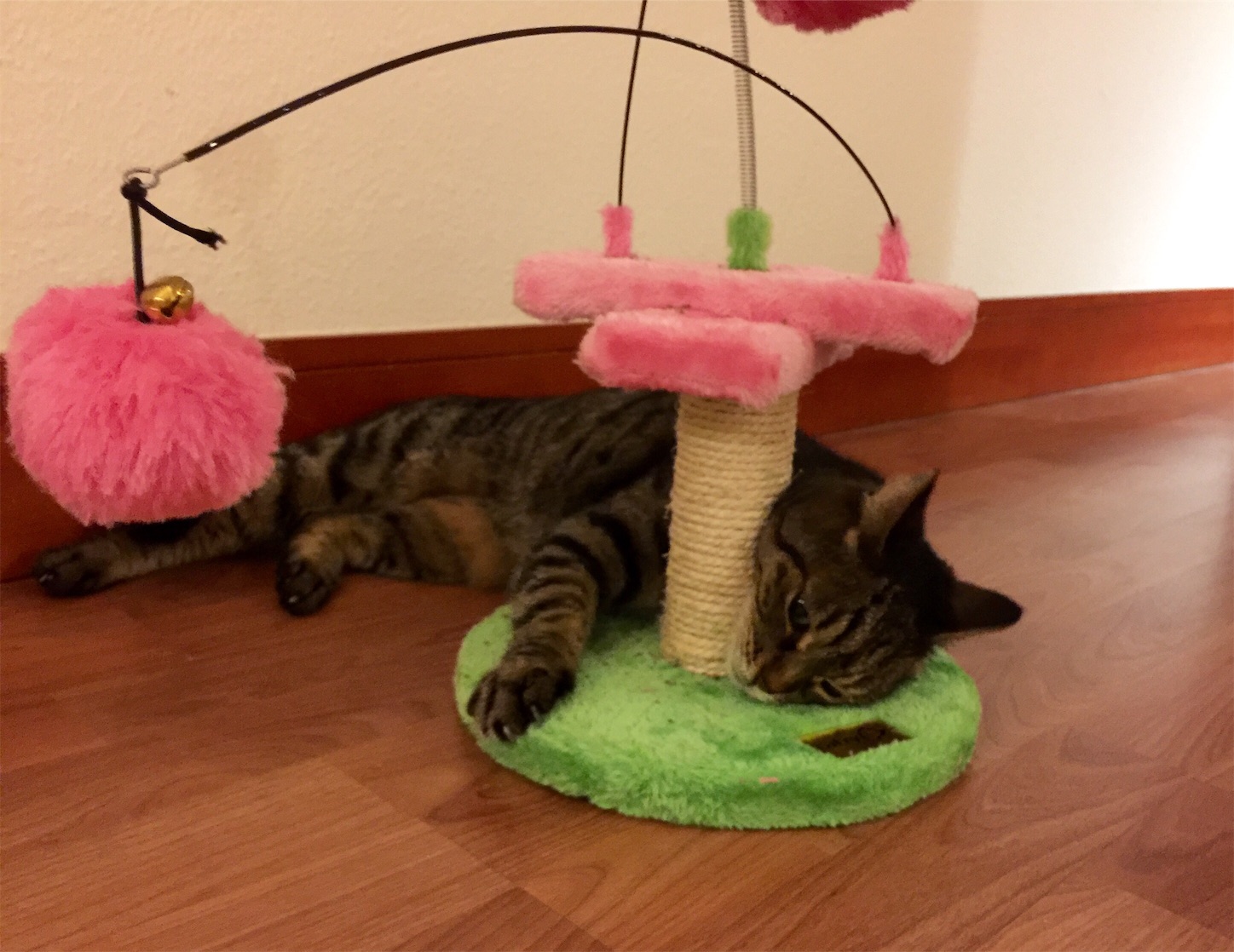 f:id:byronko:20160806001336j:image