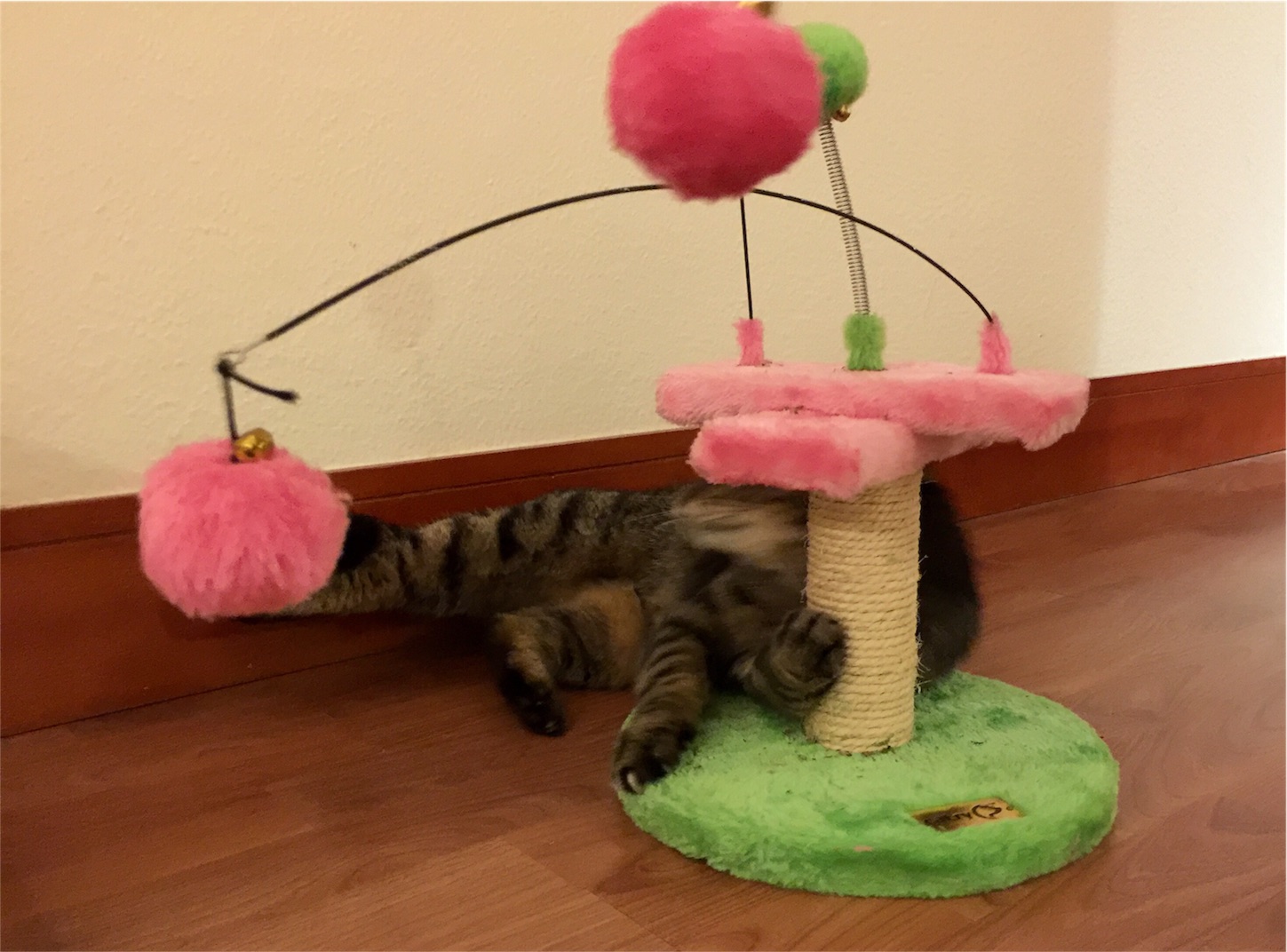 f:id:byronko:20160806001742j:image