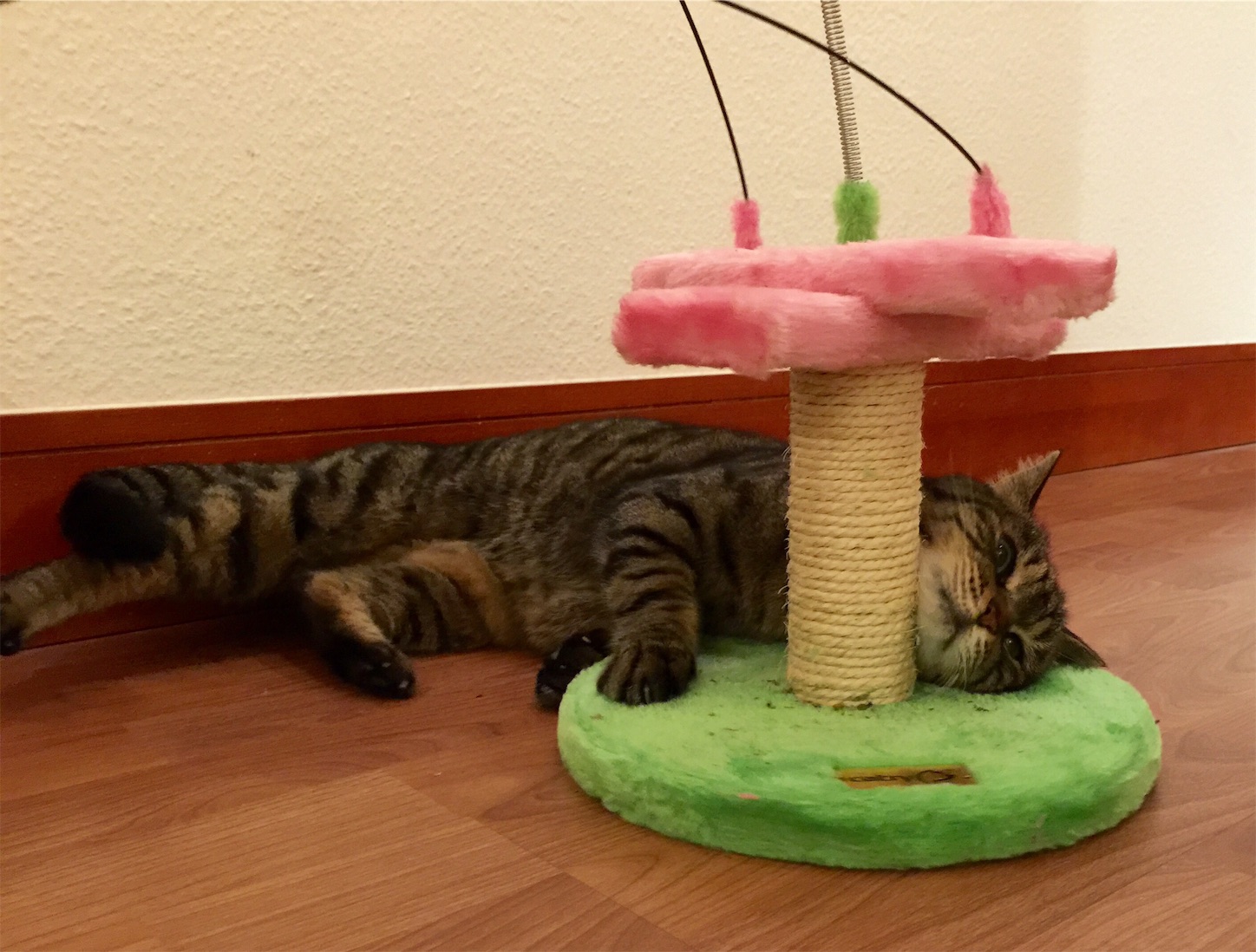 f:id:byronko:20160806001800j:image