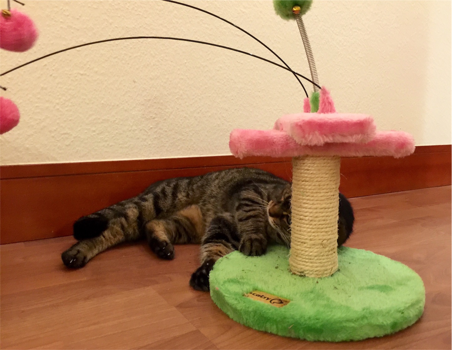 f:id:byronko:20160806002250j:image