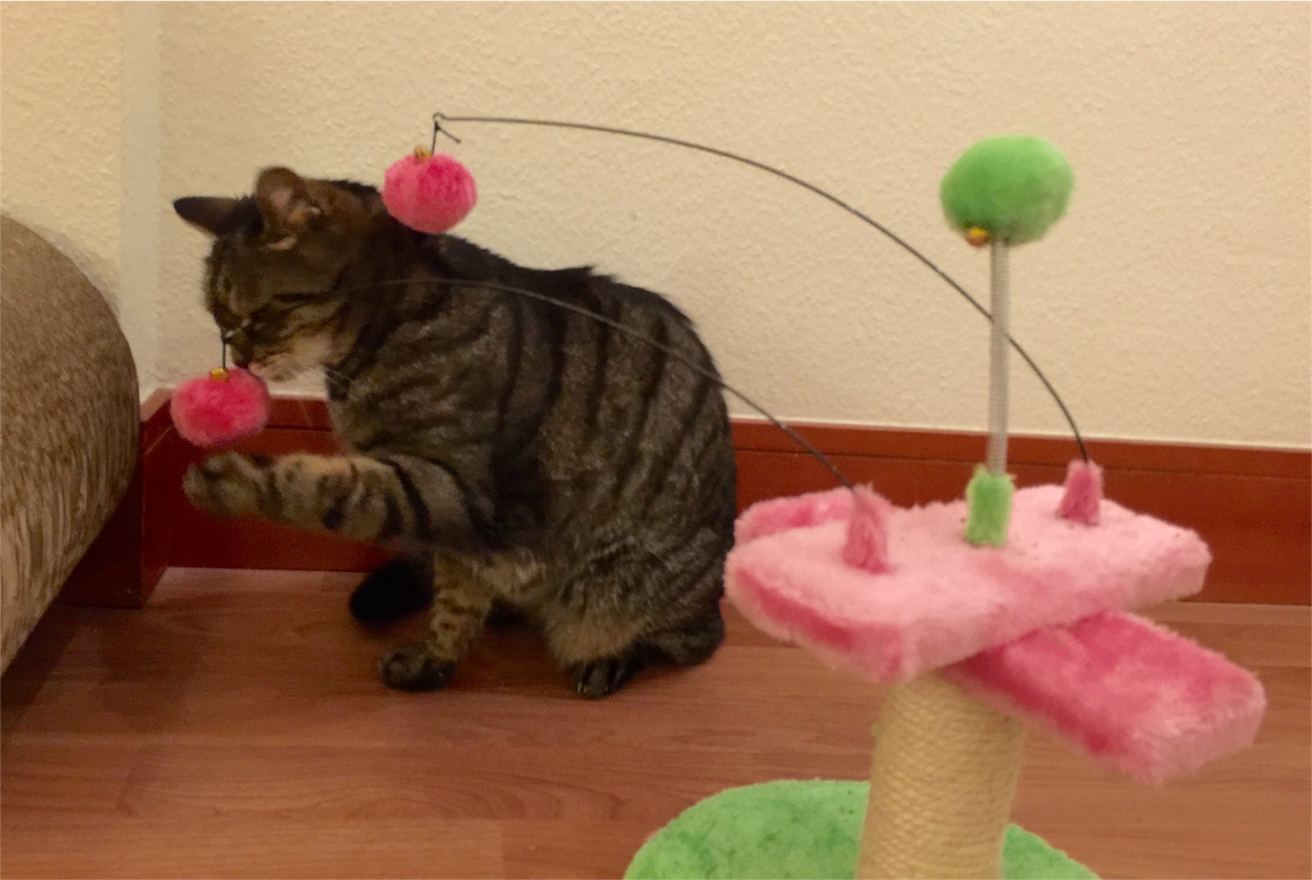 f:id:byronko:20160806002358j:image