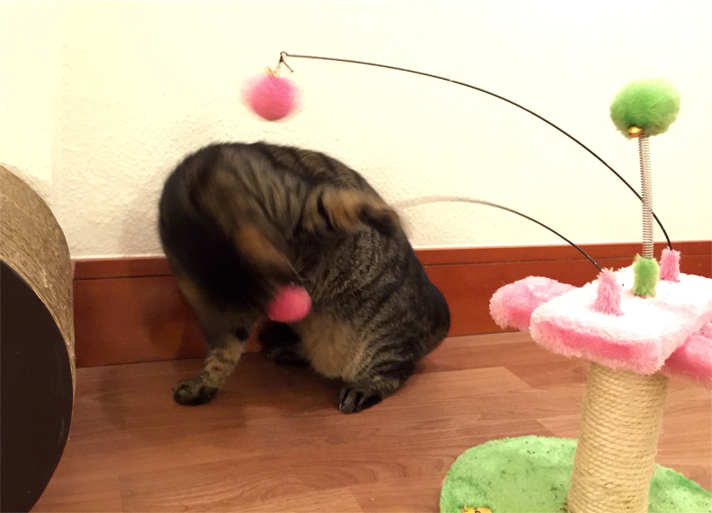 f:id:byronko:20160806002511j:image