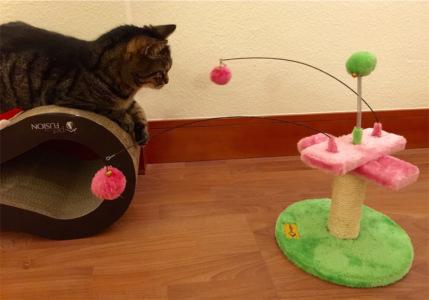 f:id:byronko:20160806002549j:image