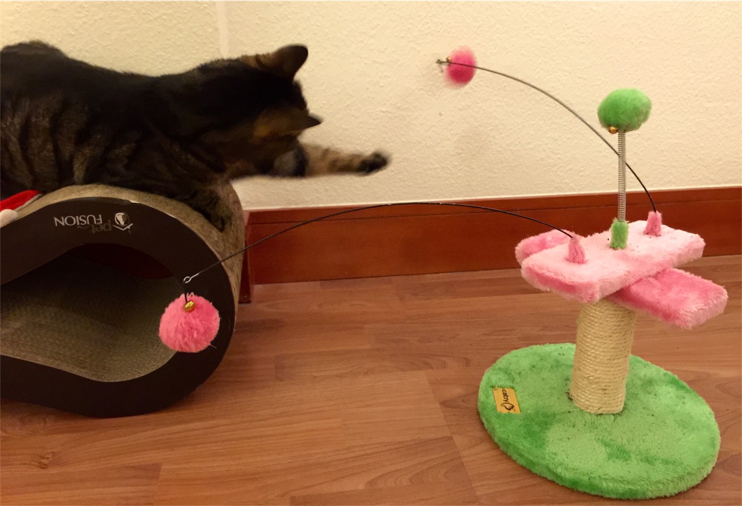 f:id:byronko:20160806002555j:image