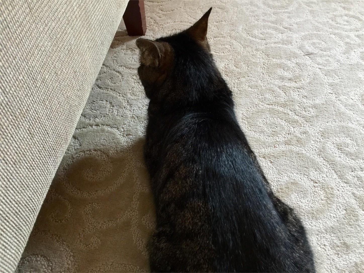 f:id:byronko:20160817215516j:image