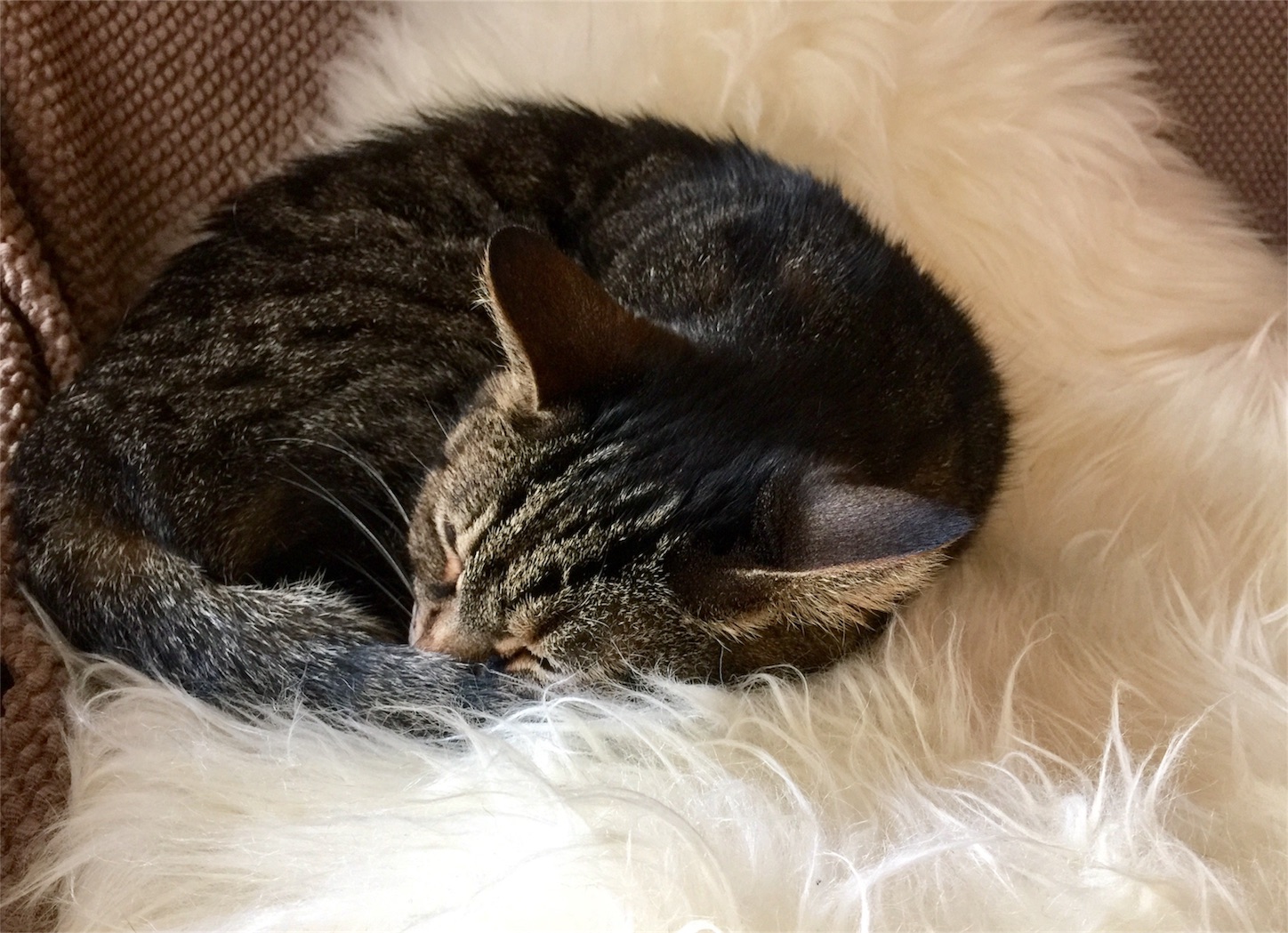 f:id:byronko:20170119235138j:image