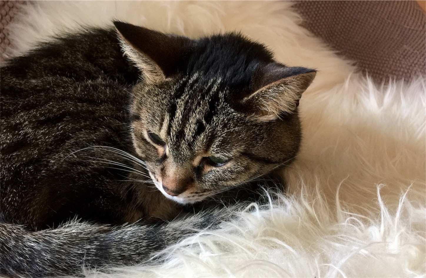 f:id:byronko:20170120000219j:image