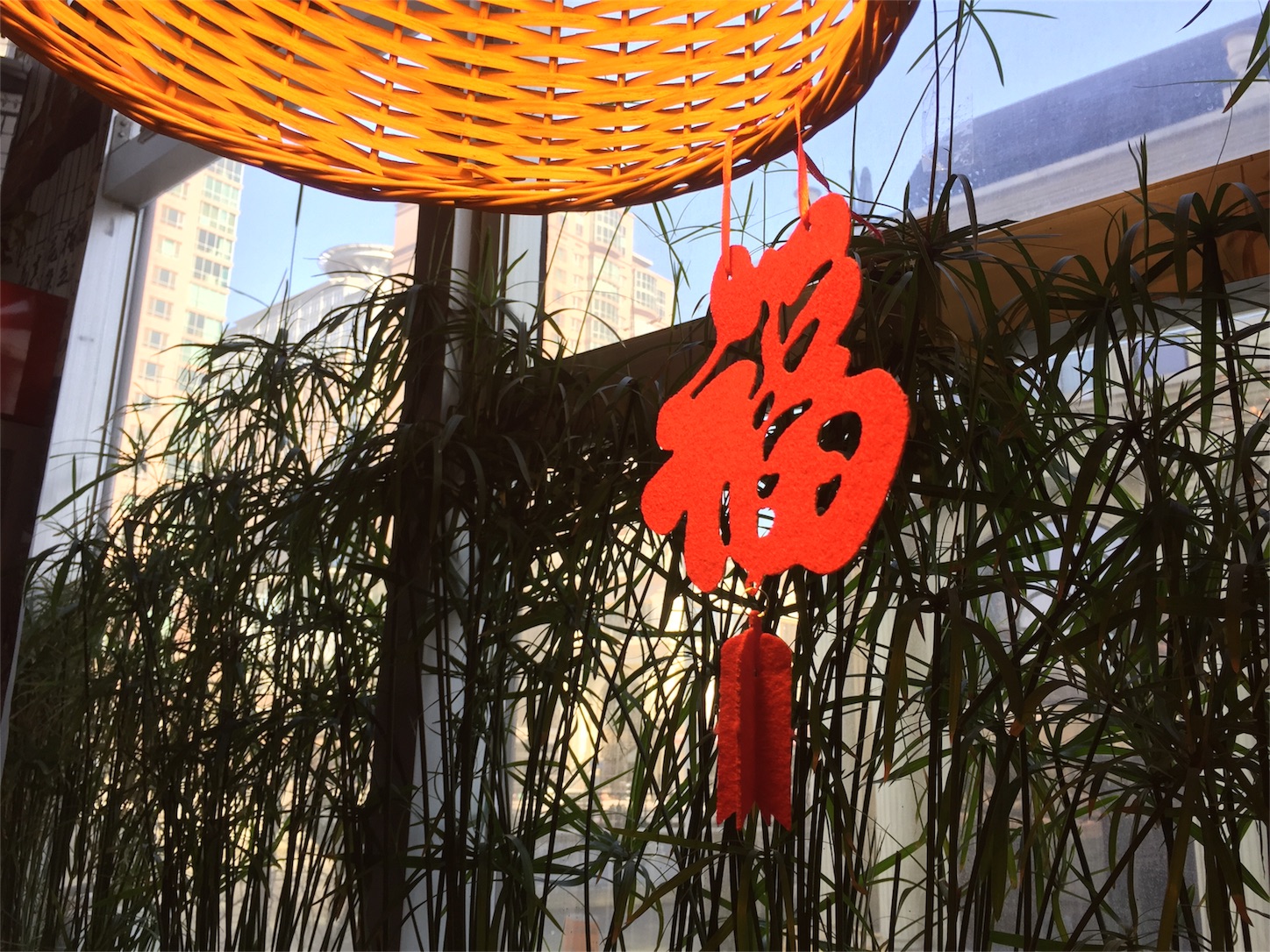 f:id:byronko:20170121230400j:image f:id:byronko:20170121230400j:image