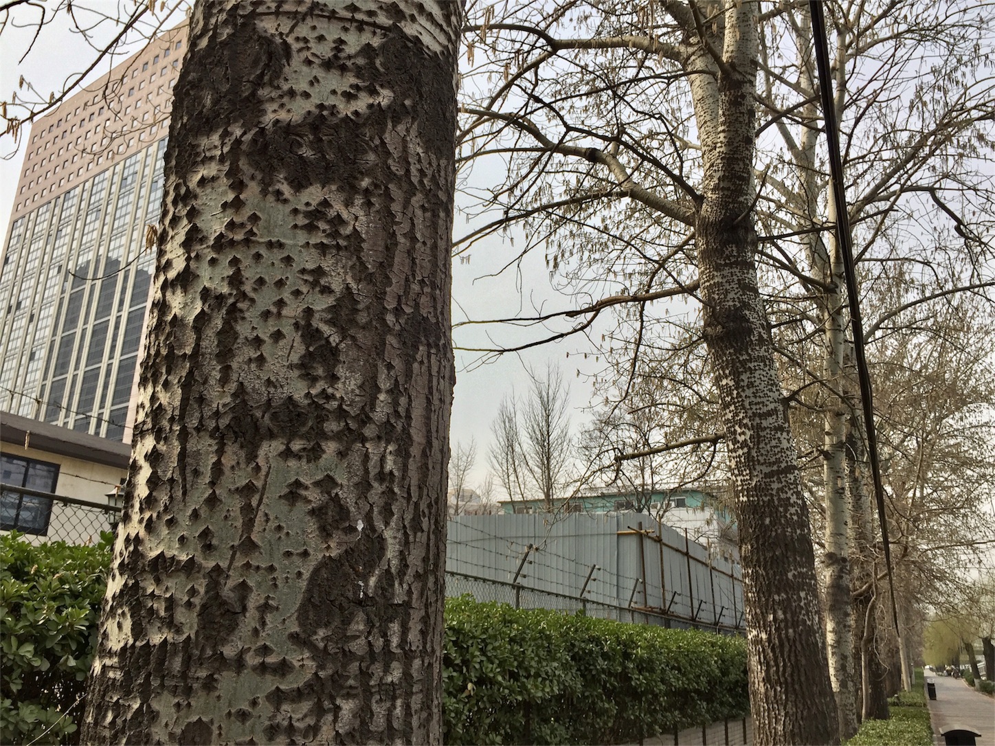 f:id:byronko:20170315131959j:image