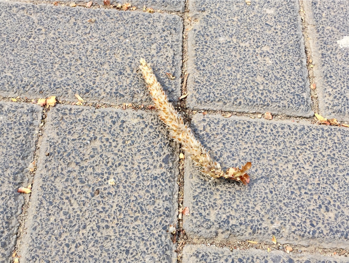 f:id:byronko:20170315132051j:image