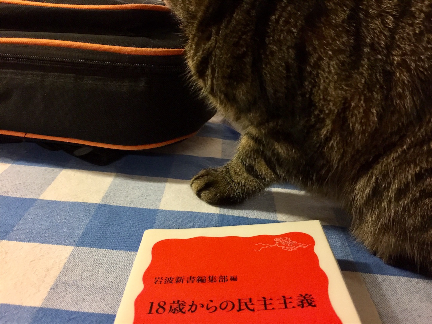 f:id:byronko:20170319184614j:image f:id:byronko:20170319184614j:image