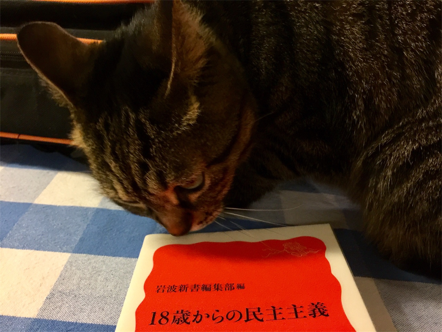 f:id:byronko:20170319184719j:image f:id:byronko:20170319184719j:image