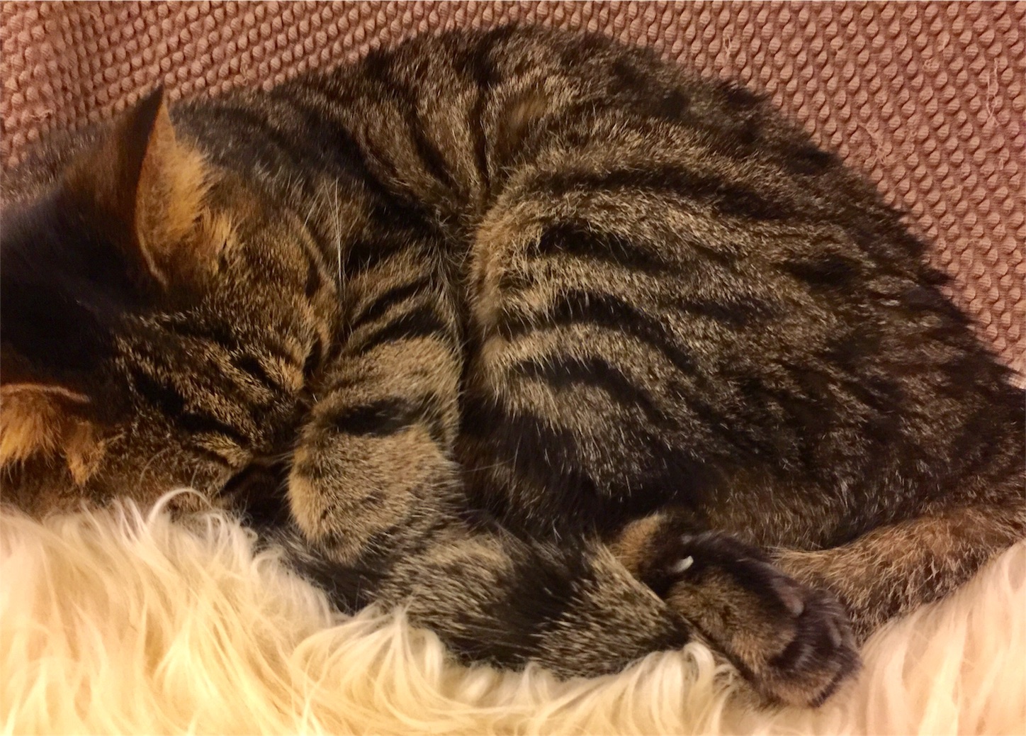 f:id:byronko:20170320231601j:image f:id:byronko:20170320231601j:image