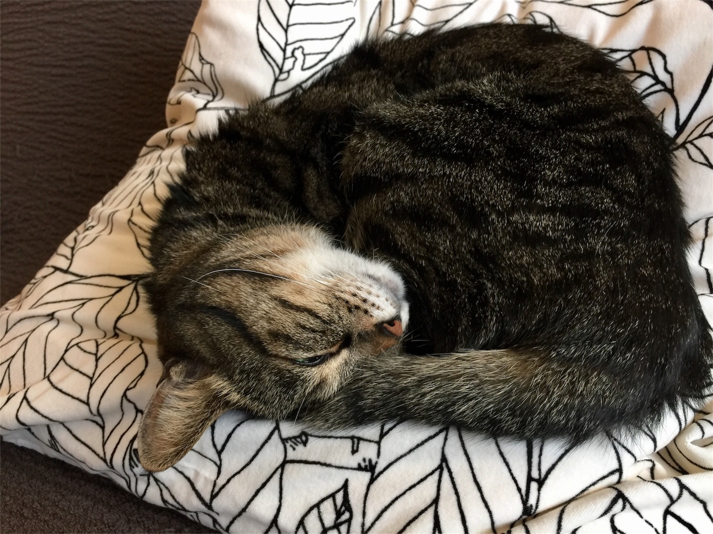 f:id:byronko:20170331165310j:image