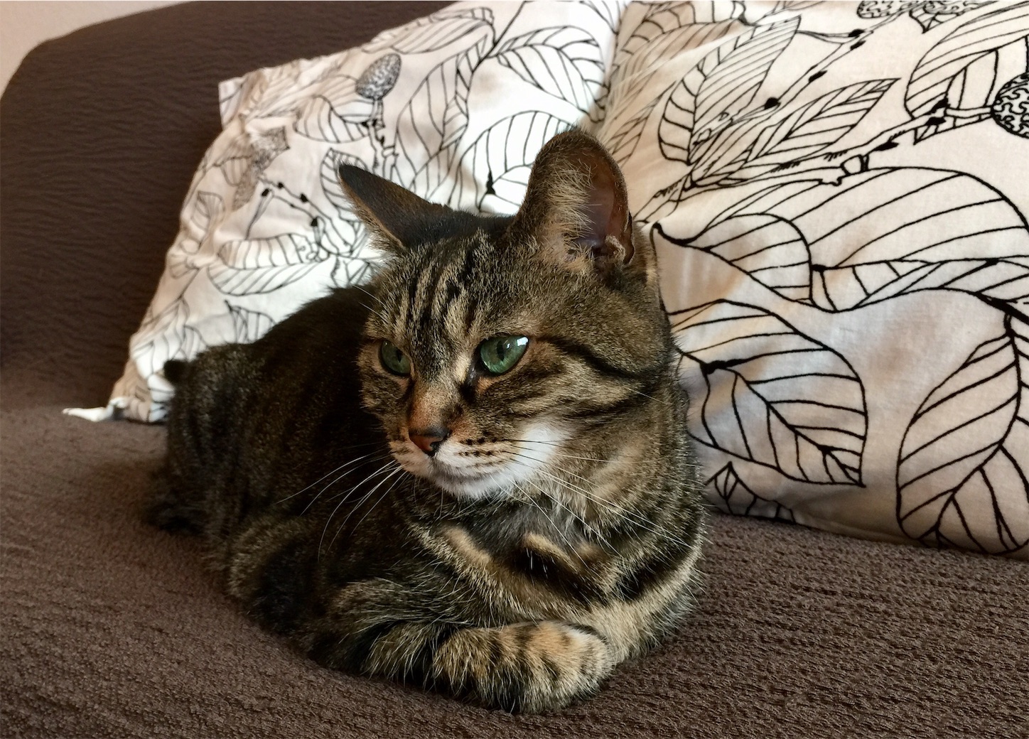 f:id:byronko:20170331165358j:image