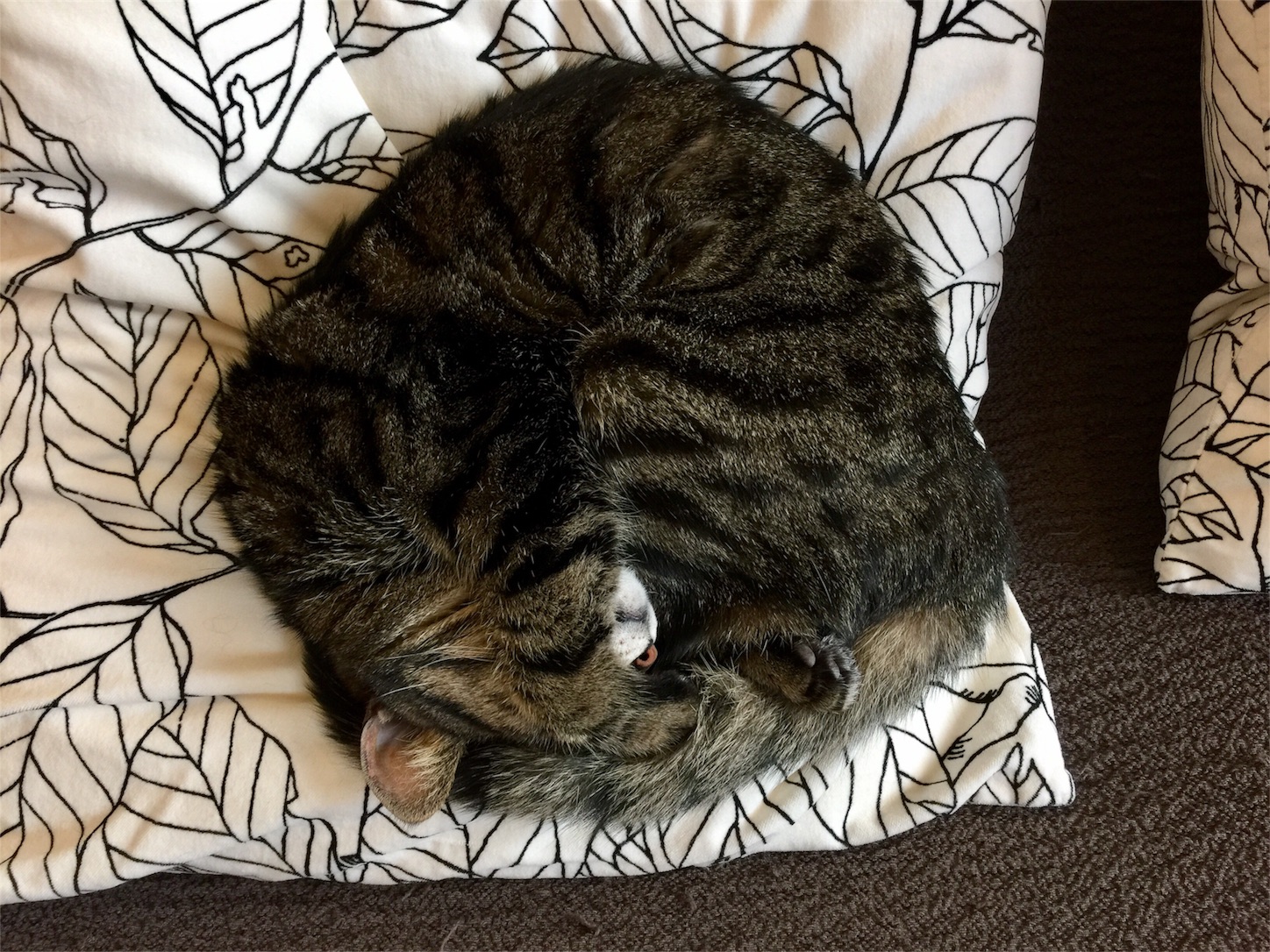 f:id:byronko:20170331165543j:image