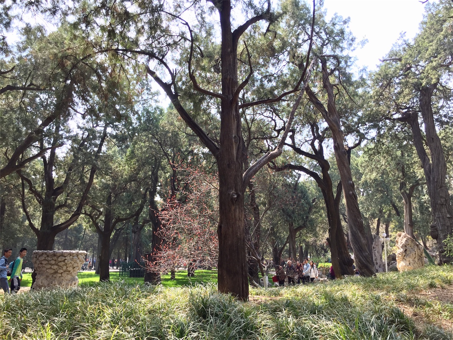 f:id:byronko:20170402221130j:image