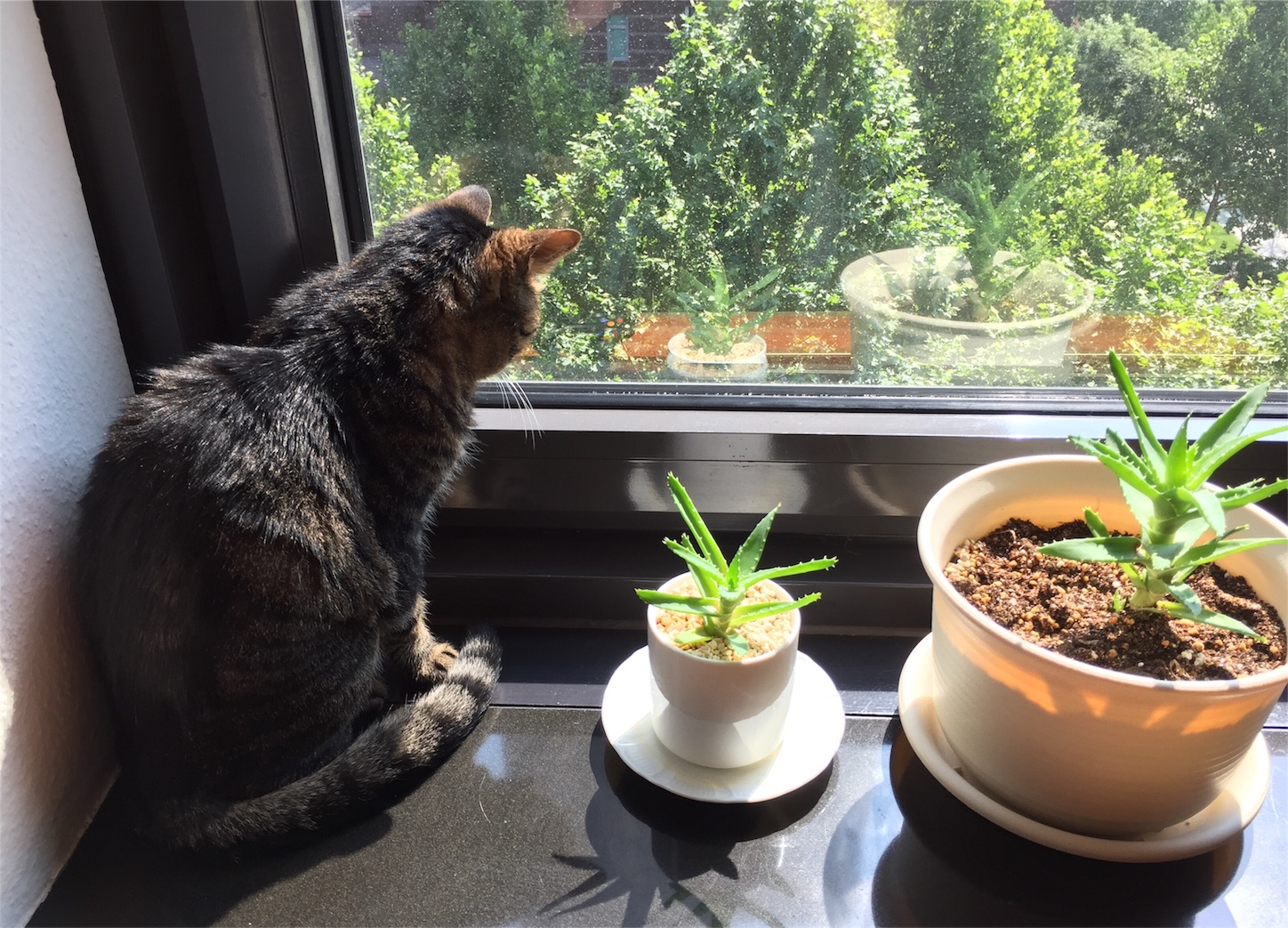 f:id:byronko:20170629222229j:image