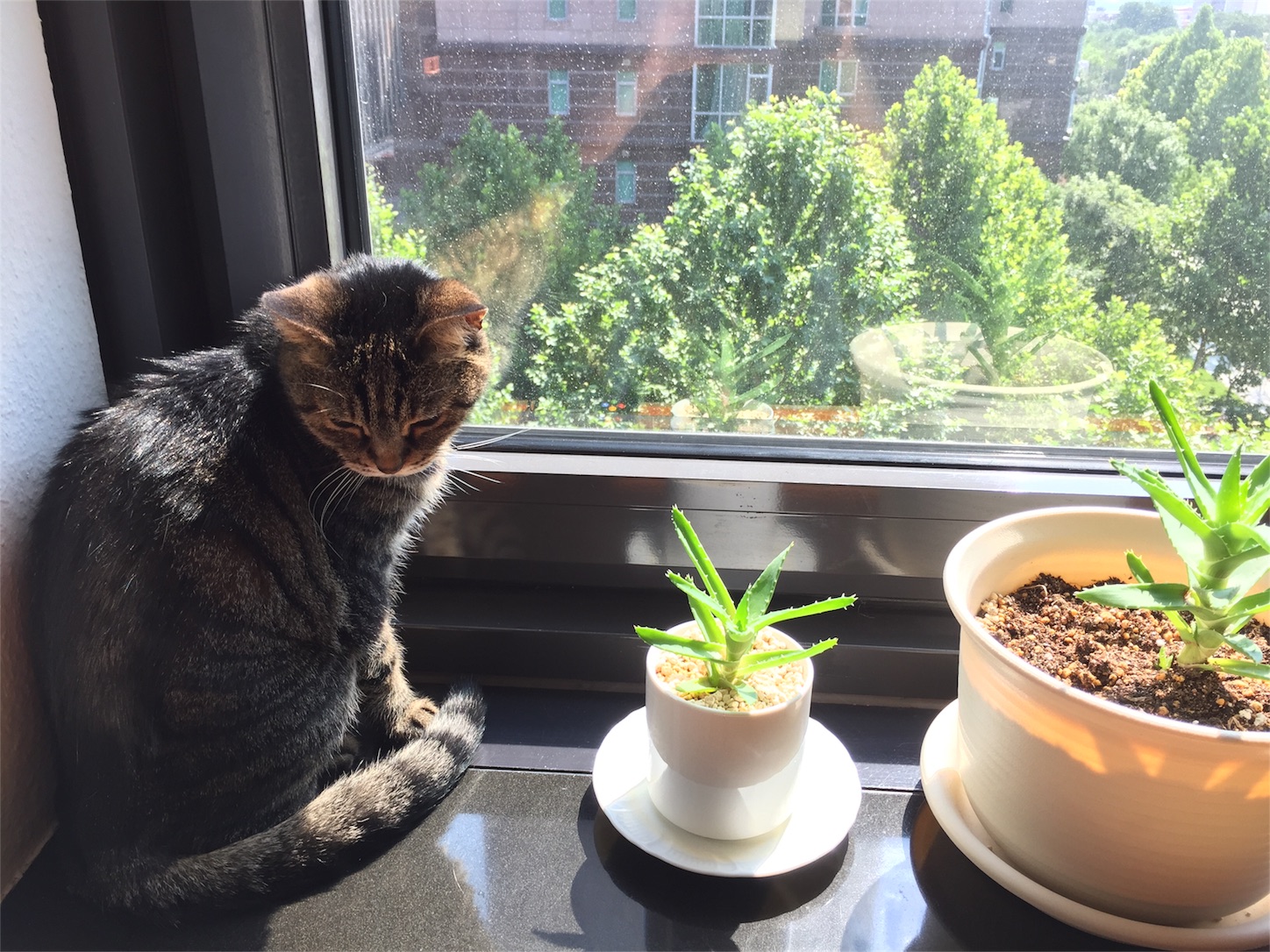 f:id:byronko:20170629222248j:image