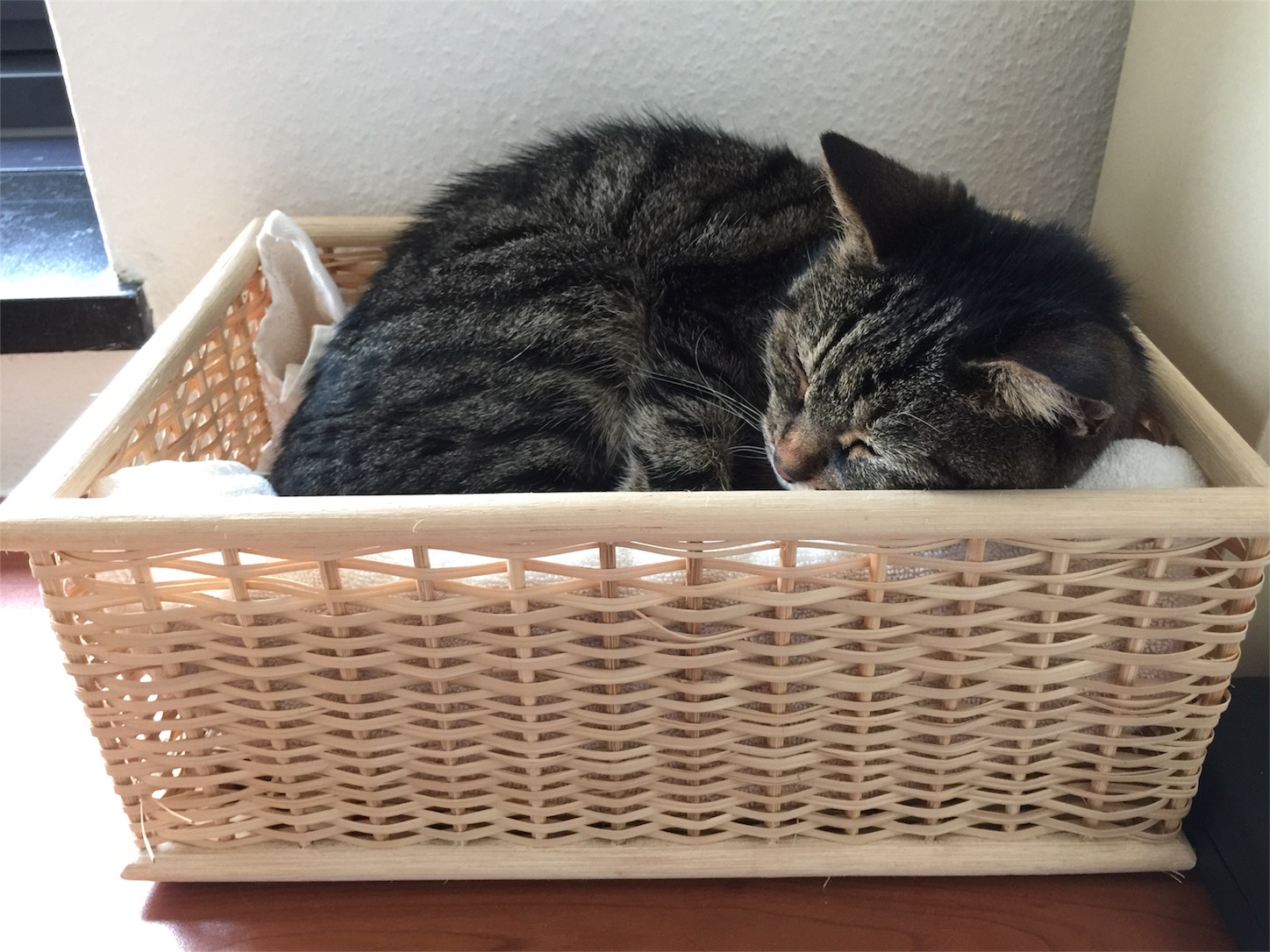 f:id:byronko:20170727234433j:image f:id:byronko:20170727234433j:image